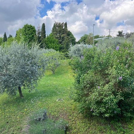 Happy Guest Apartments - Lake View And Pool Riva di Solto Buitenkant foto